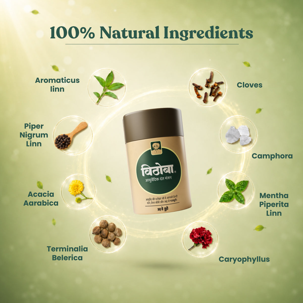 Dincharya Combo - Power Saver Pack (Premium Herbal Toothpaste 80g + Rootfix Natural Toothpaste 80g + Dant Manjan 80g + Hair Oil 100ml + Vaijayanthi Handcrafted Soap 75g) | 3+1 Toothbrush Pack