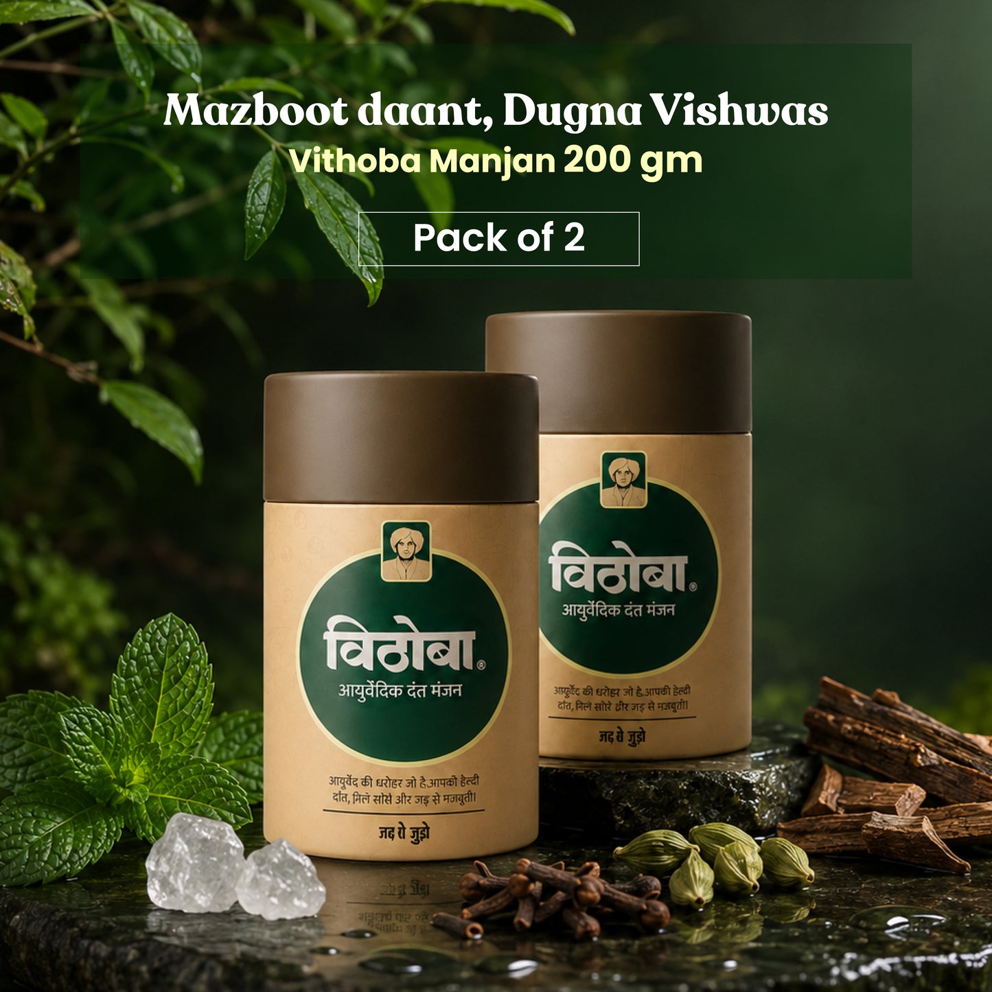Vithoba Ayurvedic Tooth Powder 200g | Herbal Dant Manjan for Strong Teeth & Healthy Gums | Pack of 2
