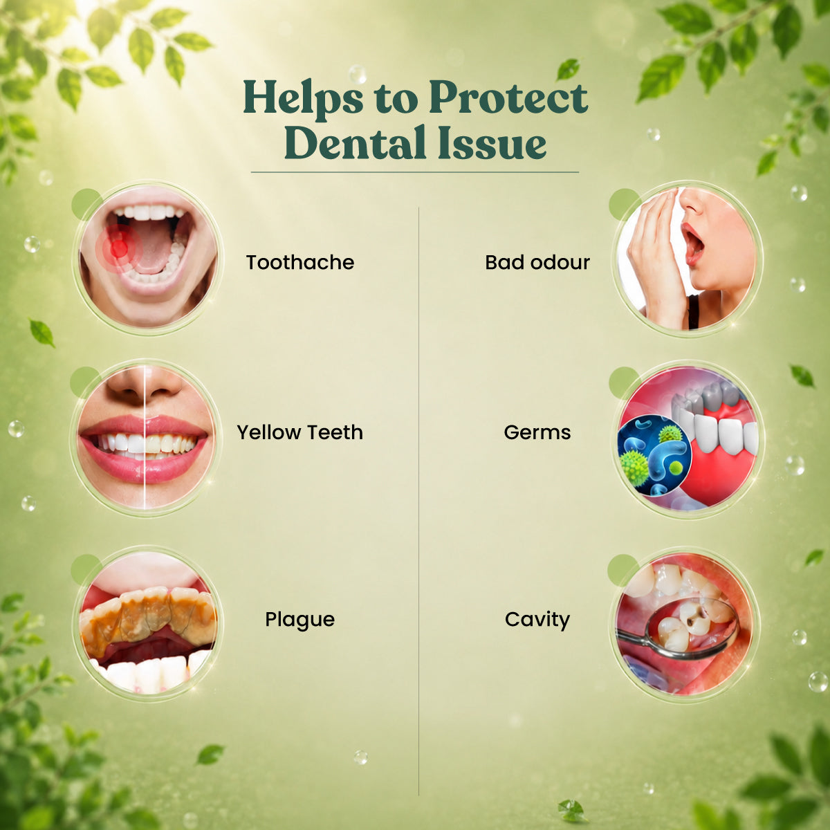 Vithoba Ayurvedic Tooth Powder 200g | Dant Manjan for Strong Teeth & Healthy Gums