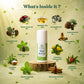 Vithoba Family Wellness Hamper - Tooth Powder 80g + Premium Herbal Toothpaste 150g + Rootfix Natural Toothpaste 150g + Vaijayanthi Soap 75g x 4 + Ayurvedic Hair Oil 100ml + Stay Active Pain Relief Oil 30ml + Kaali Strong Balm | 3+1 Toothbrush Pack
